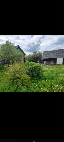 Участок 24 сот. (ИЖС)