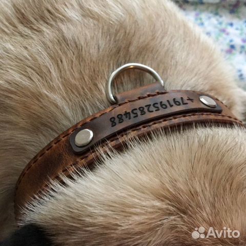 Ошейник с номером телефона, адресник, жетон