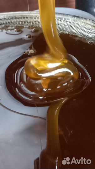 Мёд чёрная горчица,гречка и донник