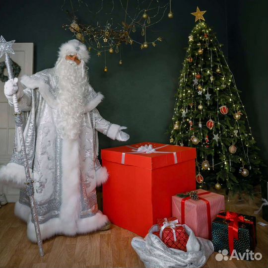 Дед мороз И снегурочка аниматоры
