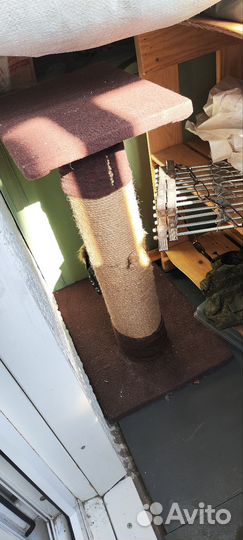 Когтеточка для кошек бу