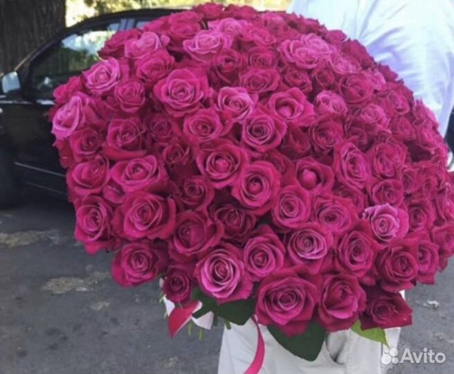 Розы цветы букеты 25 35 31 51 101