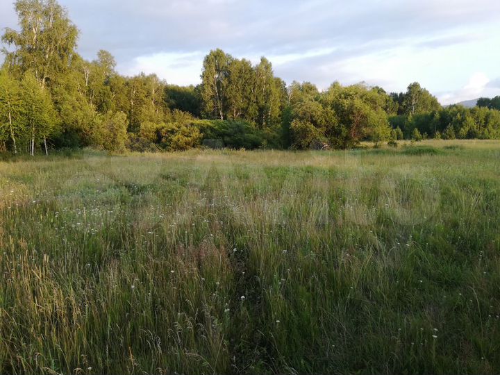 Участок 12 сот. (ИЖС)