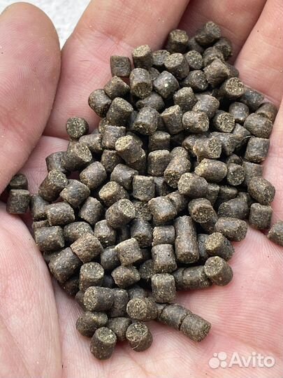 Пеллетс осетровый для рыбалки