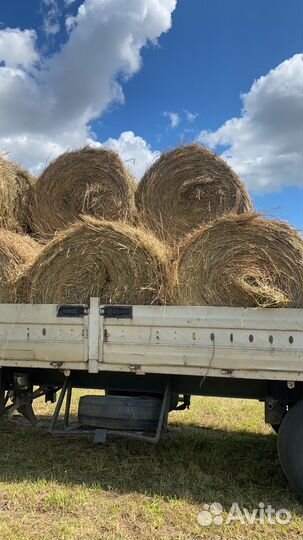 Сено в рулонах с доставкой