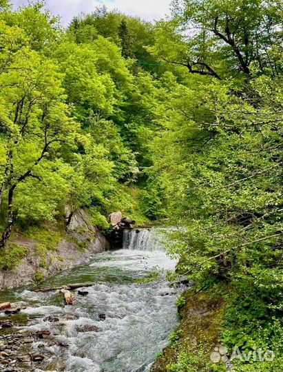 Туры в Адыгею