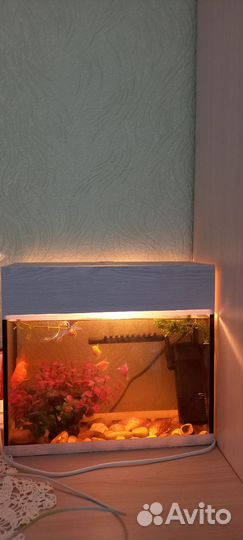 Аквариум