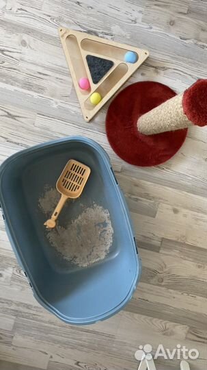 Когтеточка