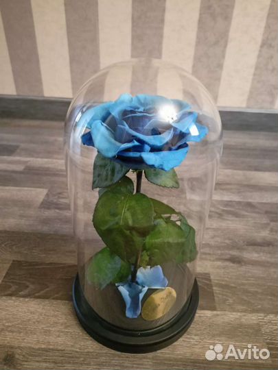 Роза в колбе