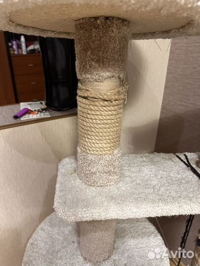 Когтеточка с домиком