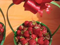 Клубника свежая ягода виктория
