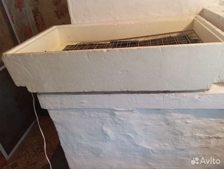 Инкубатор автоматический