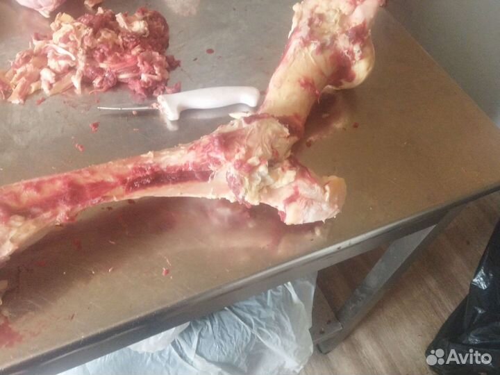 Мясо халяль,Кость говяжья мозговая