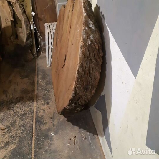 Слэб шелковица