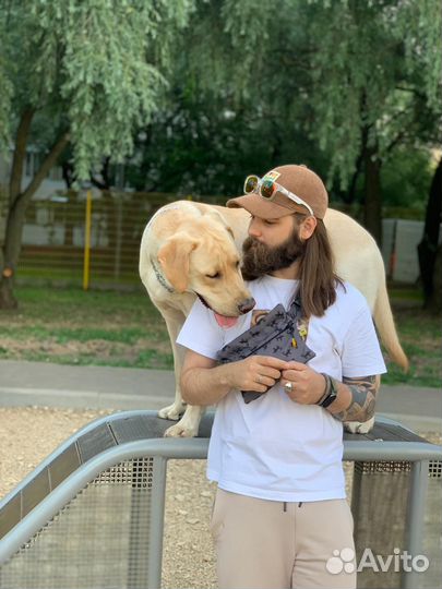 Кинолог l Зоопсихолог