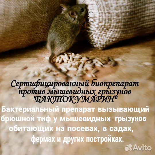 Бактокумарин