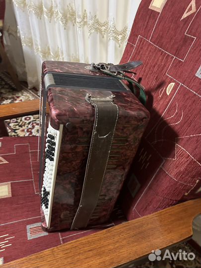 Баян восток