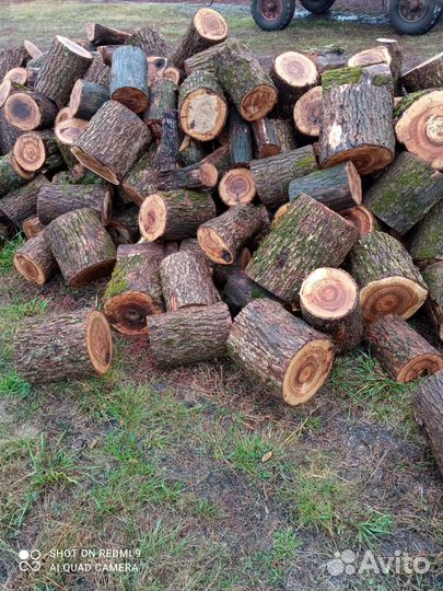 Продам дрова сухие