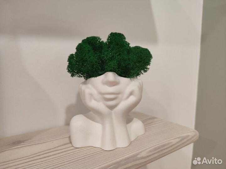 Гипсовое кашпо + стабилизированный мох