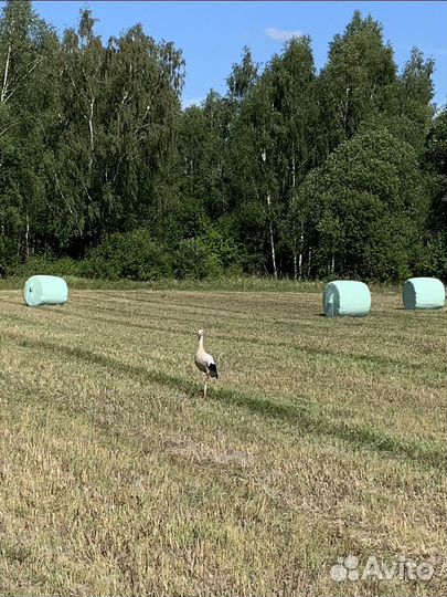 Сенаж. Сено. Солома