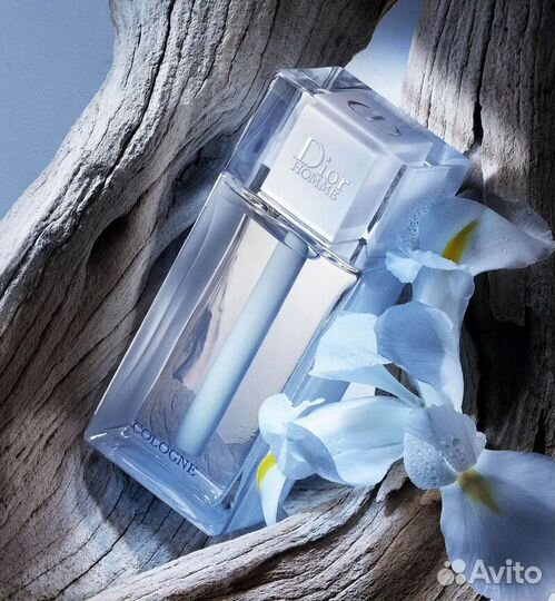 Мужской парфюм DiorHommeCologne
