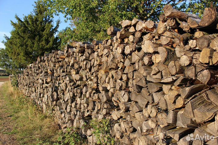 Дрова Дубовые, береза, дуб, ольха