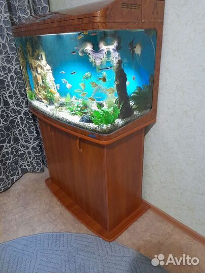 Аквариум jebo r390