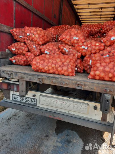 Лук, морковь (оптом)