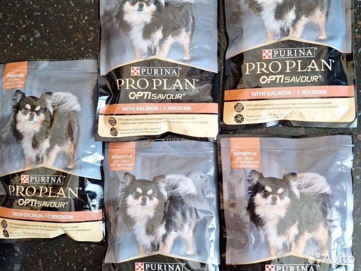 Pro Plan собаке