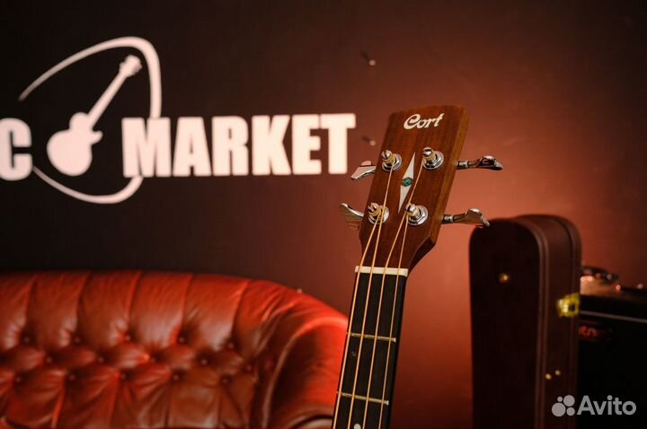 Электроакустический бас (Комплект)