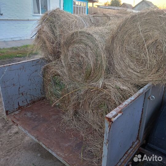 Продам сено в тюках