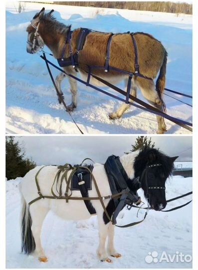 Упряжь, уздечки для пони, ослика