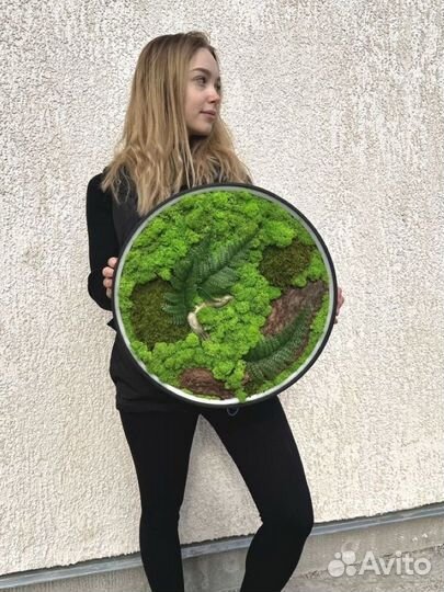 Панно из мха диаметр 40 см