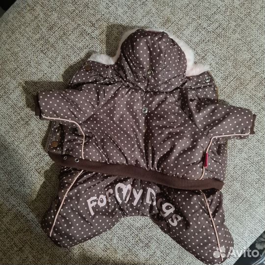 Одежда для собак мелких пород зима
