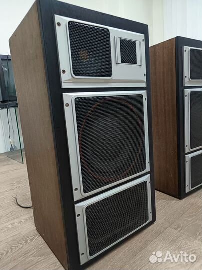 Колонки Электроника 35 ас 015