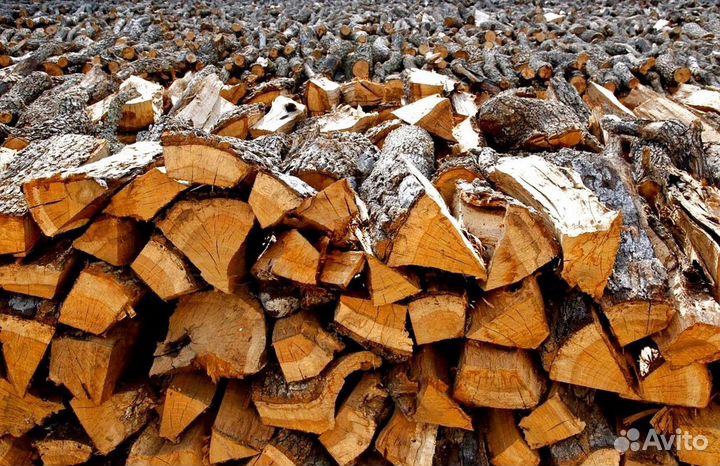 Дрова осина