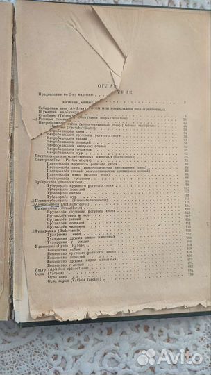 Частная эпизоотология