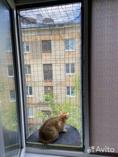 Балкон для кошки