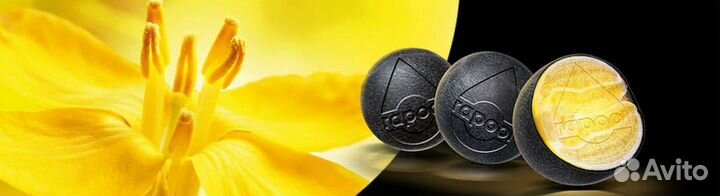 Семена озимого рапса