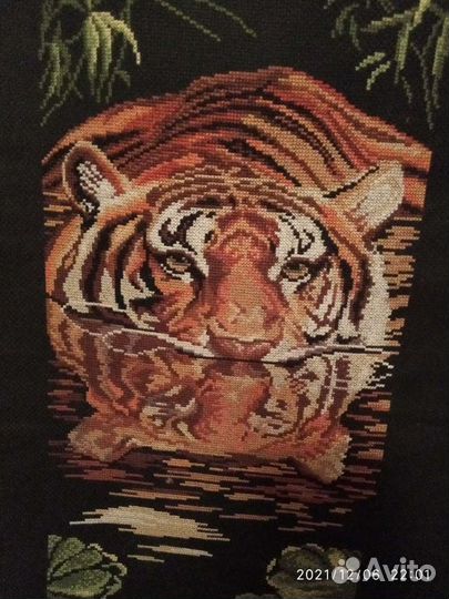 Тигр.водяной покровитель.2022 года