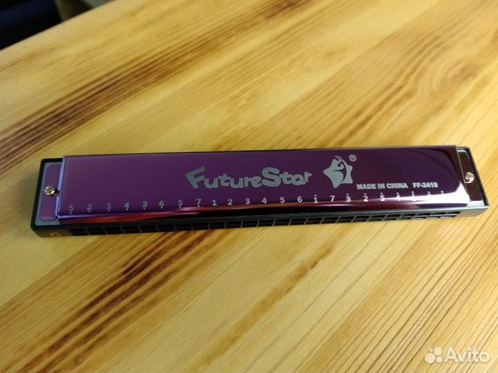 Новая Губная гармошка Future Star QF-2419 PK*