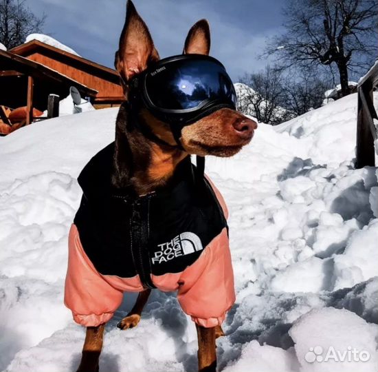 Куртка, пуховик, комбинезон для собаки
