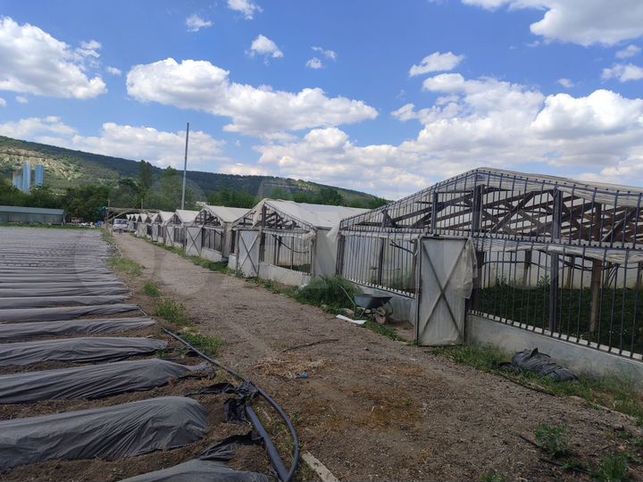 Участок 1,5 га (СНТ, ДНП)