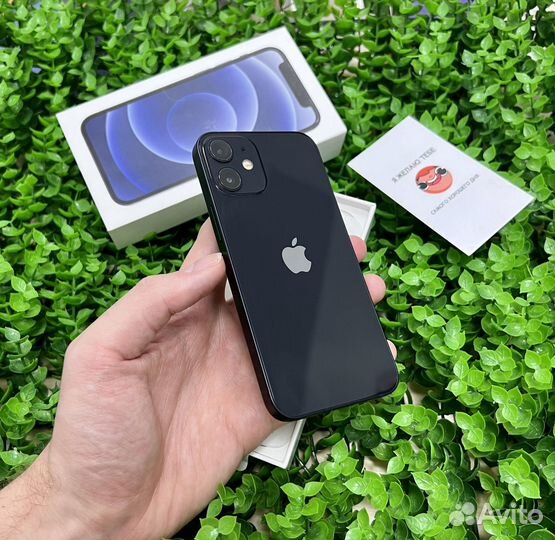 iPhone 12 mini, 256 ГБ