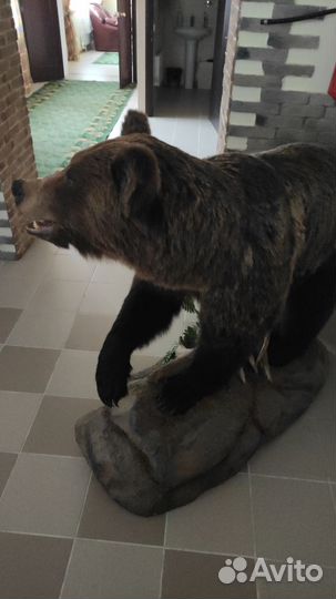 Имитация чучела медведя