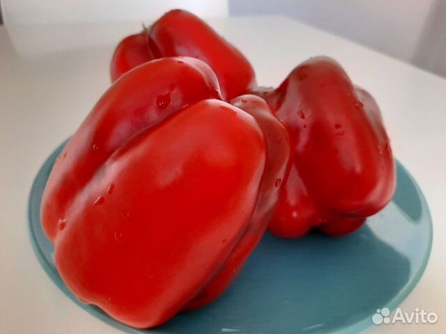 Шикарный перец семена