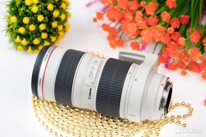 Canon EF 70-200mm f/2.8L USM