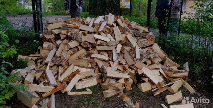 Дрова колотые березовые