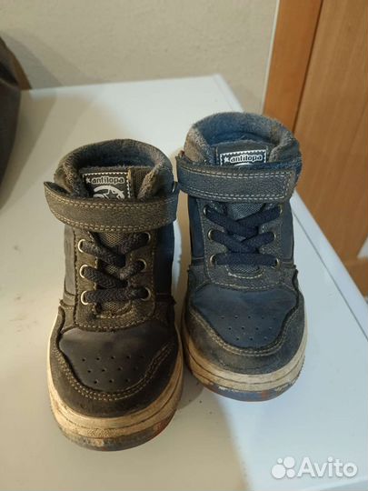 Ботинки демисезонные