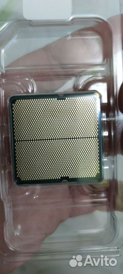 Amd ryzen 5 7500f